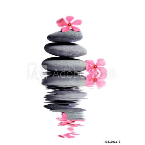 Estores impresión digital Zen flores