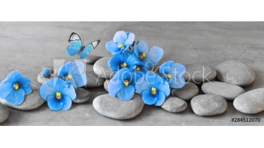 Estores impresión digital Zen flores