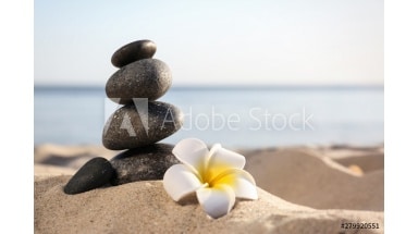 Estores impresión digital Zen flores